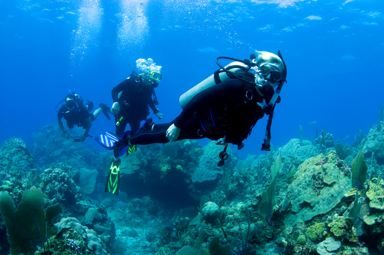 What Should You Do After Earning Your Open Water Certification? 3