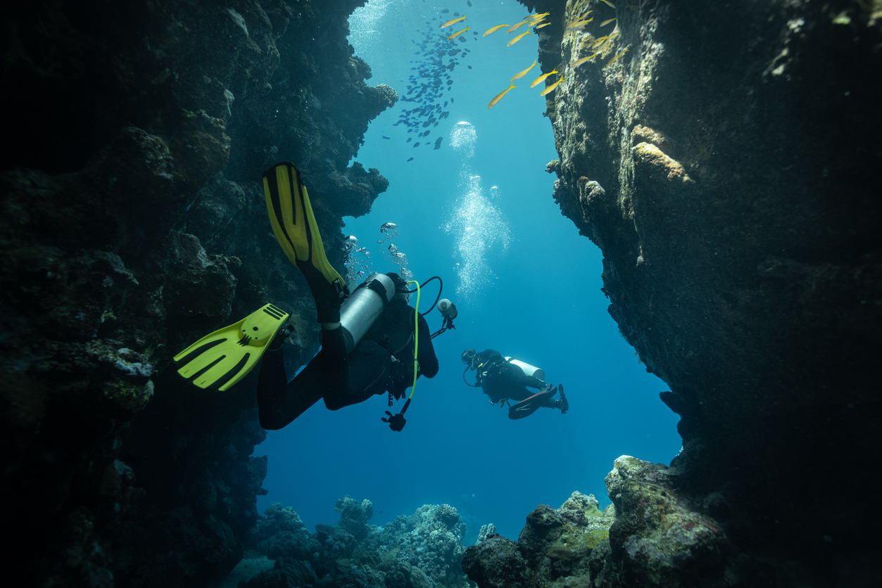 How Do You Get Scuba Certified? A Beginner's Guide to Scuba Diving 3